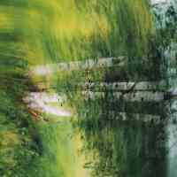 art-service-solook-rumi-harmony-body-mind-yoga-meditation