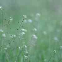 poetry-work-solook-rumi-harmony-body-mind-yoga-meditation