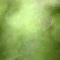 writing-work-solook-rumi-harmony-body-mind-yoga-meditation